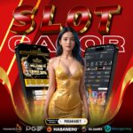 PUSAKABET LIVE CASINO